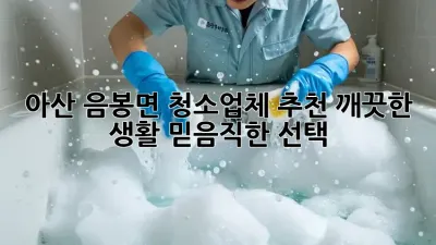 아산 음봉면 청소업체 추천: 깨끗한 생활, 믿음직한 선택!