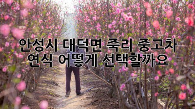 안성시 대덕면 죽리 중고차 연식, 어떻게 선택할까요?