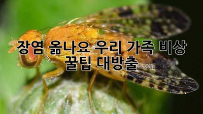 😱 장염 옮나요? 우리 가족 비상! 🚨 꿀팁 대방출